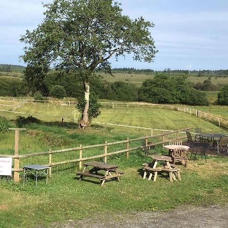 Rhydgaled Villa Llanon Eksteriør bilde